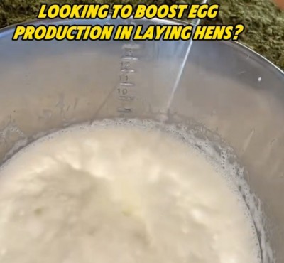 13) Cumann Uaimheadóireachta na hÉireann (cuid de Chumann Tarrtháil Uaimhe na hÉireann).